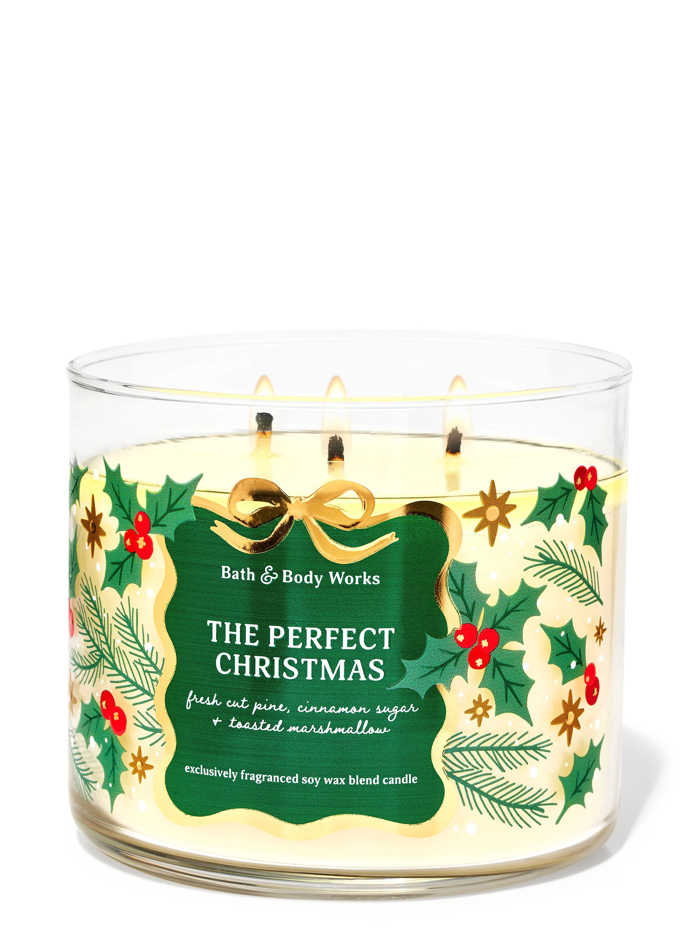 The Perfect Christmas


3-Wick Candle | Bath & Body Works