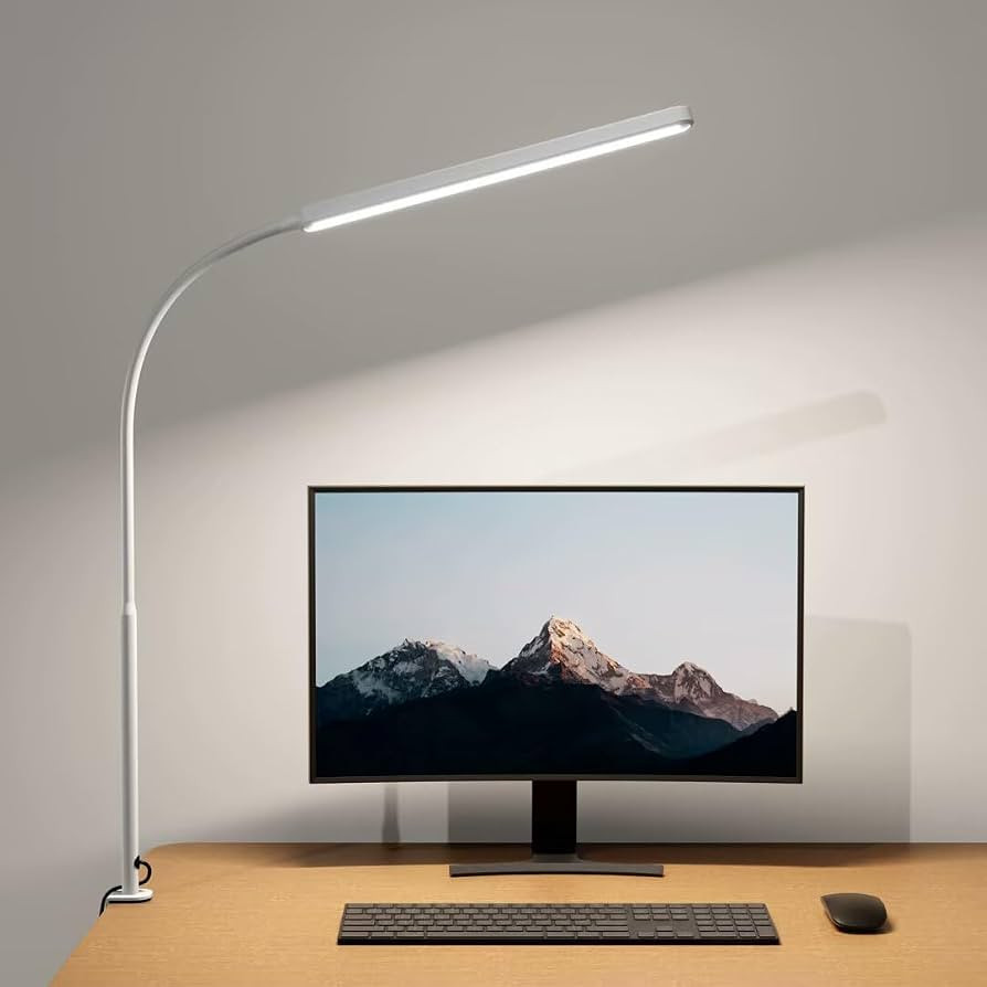 SUPERDANNY Eye-Caring LED Desk Lamp Work Lamp Office Lamp with Side Clamp | Amazon (US)
