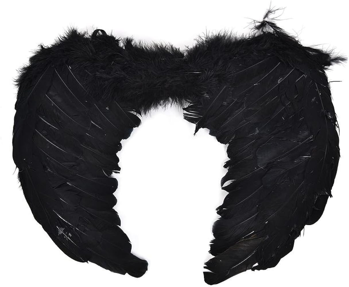 PGXT Halloween Party Costumes Feather Angel Wing | Amazon (US)