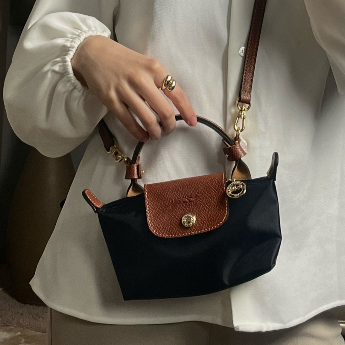 Aliexpress lonchamps bag✨