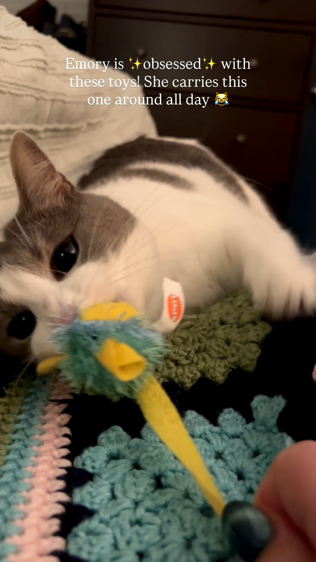 My cats love these toys so much! Emory carries them around all day 😹 a pack is under $10 from Chewy! 

#LTKFamily #LTKPets #LTKHome