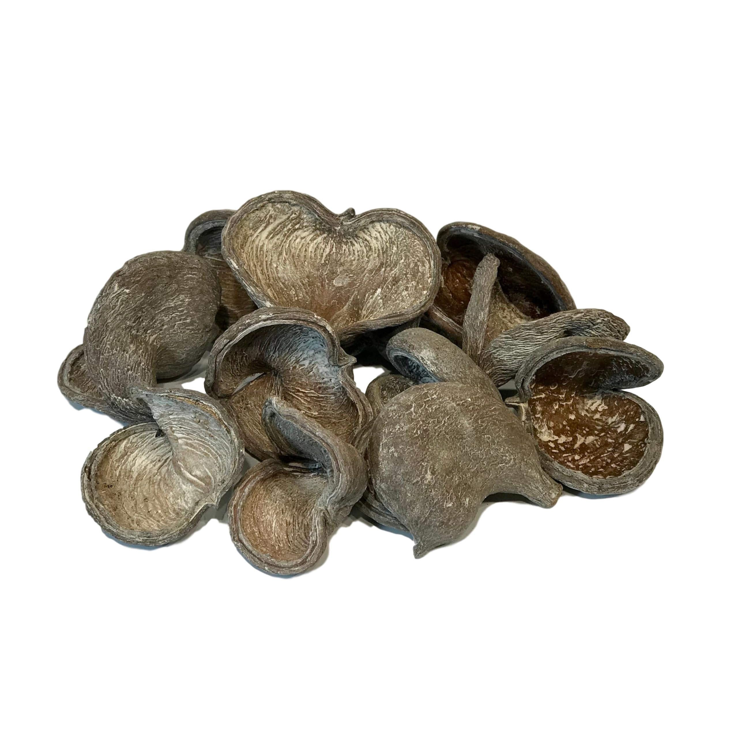 12 Piece Natural Badam Nut Seed Pod Bowl Filler – Organic Heart-Shaped Nut Shells for Decorativ... | Amazon (US)