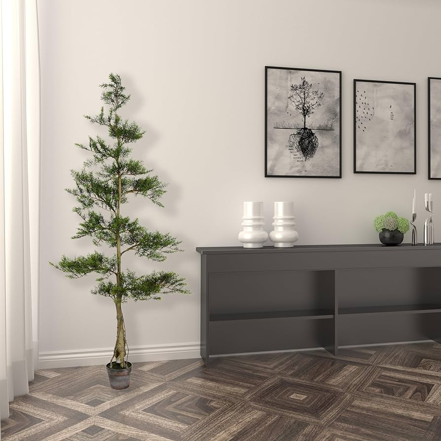 Visit the Vickerman Store | Amazon (US)