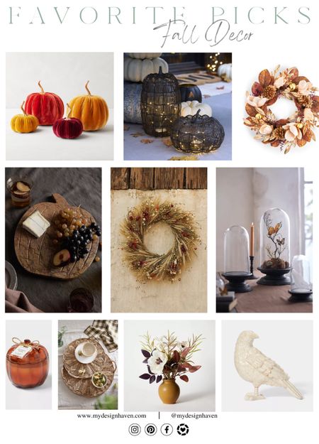 As the 🍁leaves🍂 start to change and the air turns crisp, it's the perfect time to shop for fall decor. Explore cozy blankets, rustic pumpkins, and warm-toned candles to create a welcoming autumn atmosphere in your home. Don't forget to visit my online store for a curated selection of fall-inspired decorations that will transform your space into a seasonal sanctuary. www.mydesignhaven.com

#LTKHalloween #LTKhome #LTKSeasonal