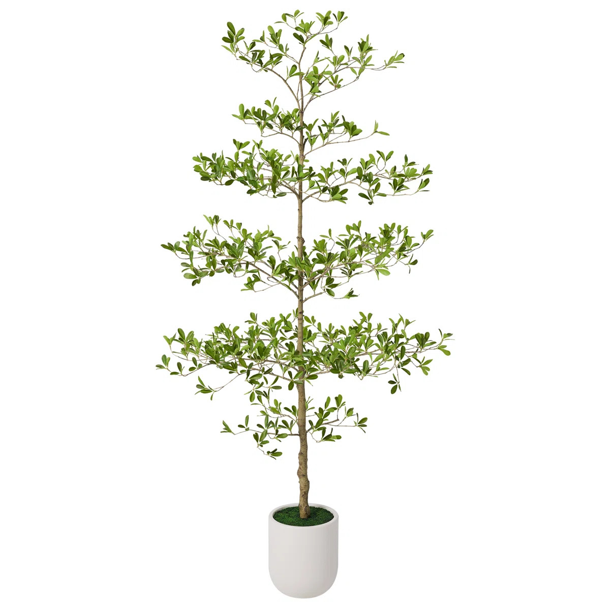 7ft Artificial Black Olive Tree With Large White Planter, Tall Faux Black Olive Tree Indoor, Deco... | Wayfair North America