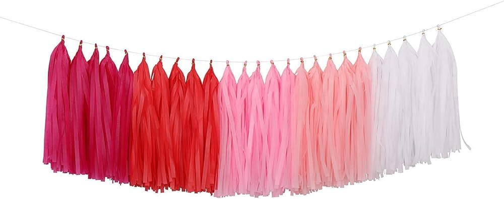 Fonder Mols Tassel Garland DIY Kit (25pcs, Pink Ombre)- Balloon Tail - Banner - Pink Birthday - P... | Amazon (US)