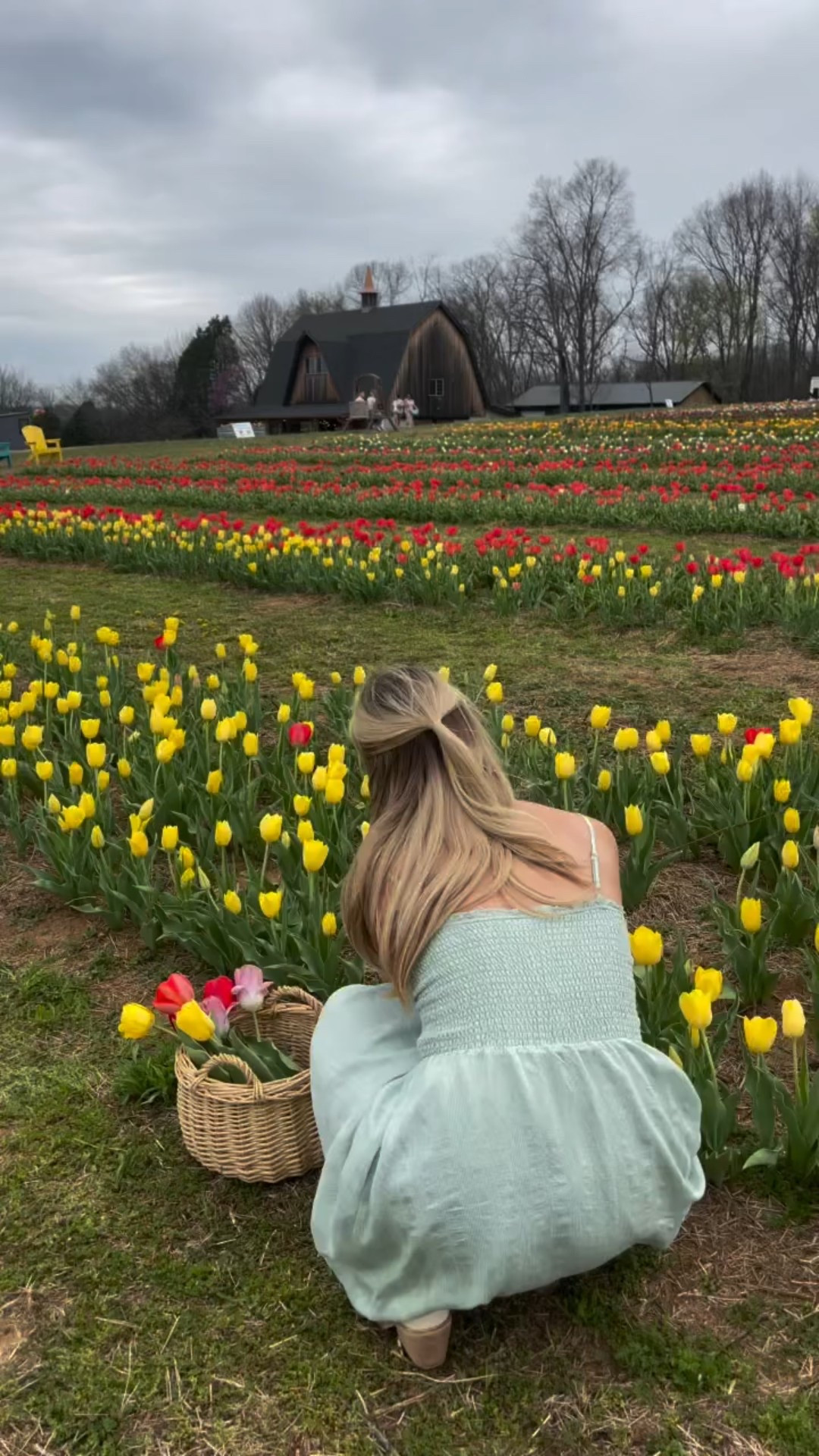 Highly recommend as a cute spring activity @libertygracefarms 🌼🌷🫶🏻 also fell in love with the town the farm is in. 🤍