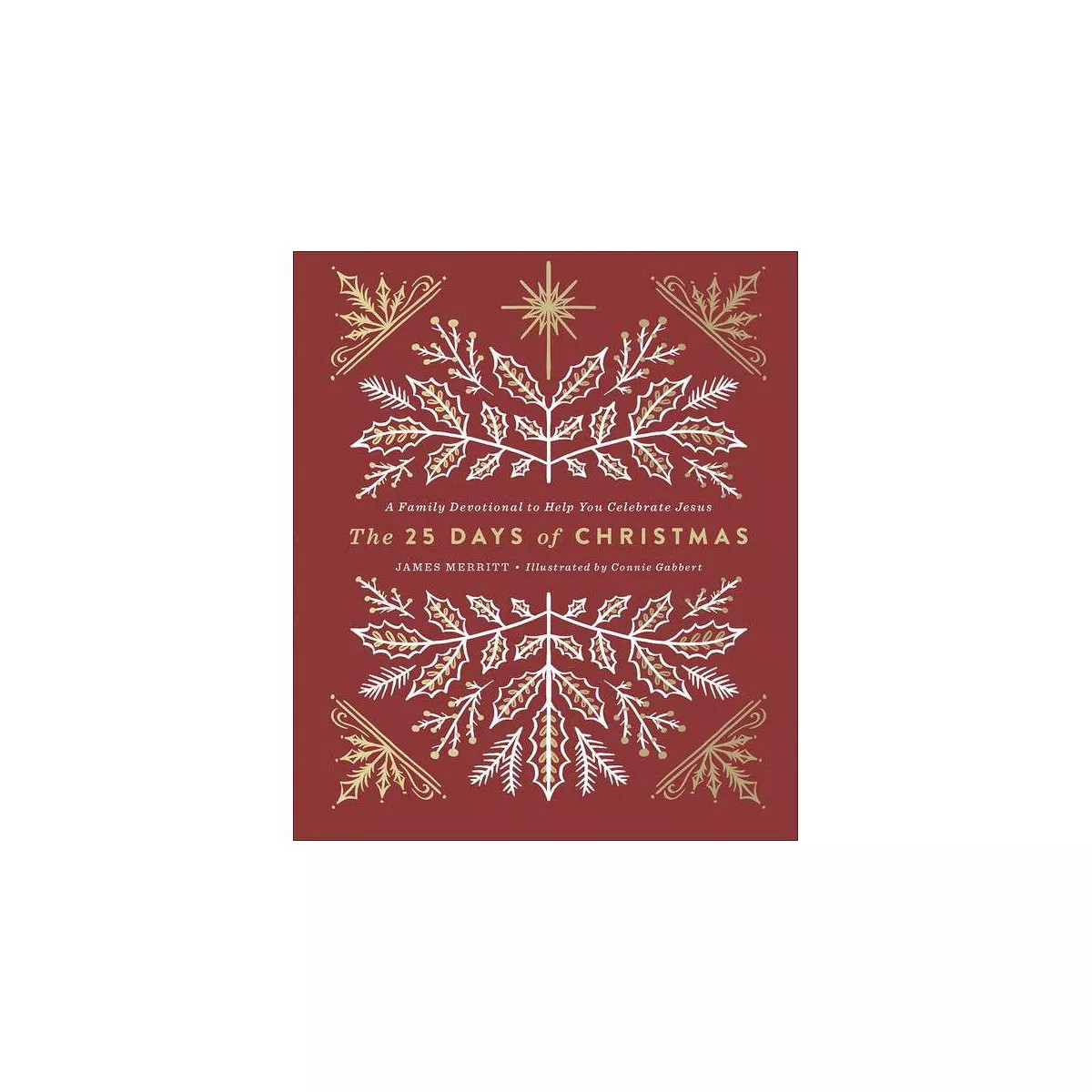 The 25 Days of Christmas - by  James Merritt (Hardcover) | Target