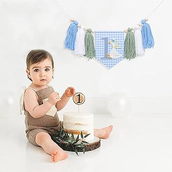 One Funny Goose High Chair Banner for Boys - Goose Theme 1st Birthday Decorations, Blue Gingham S... | Amazon (US)