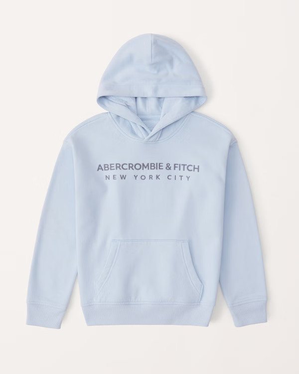 embroidered logo popover hoodie | Abercrombie & Fitch (US)
