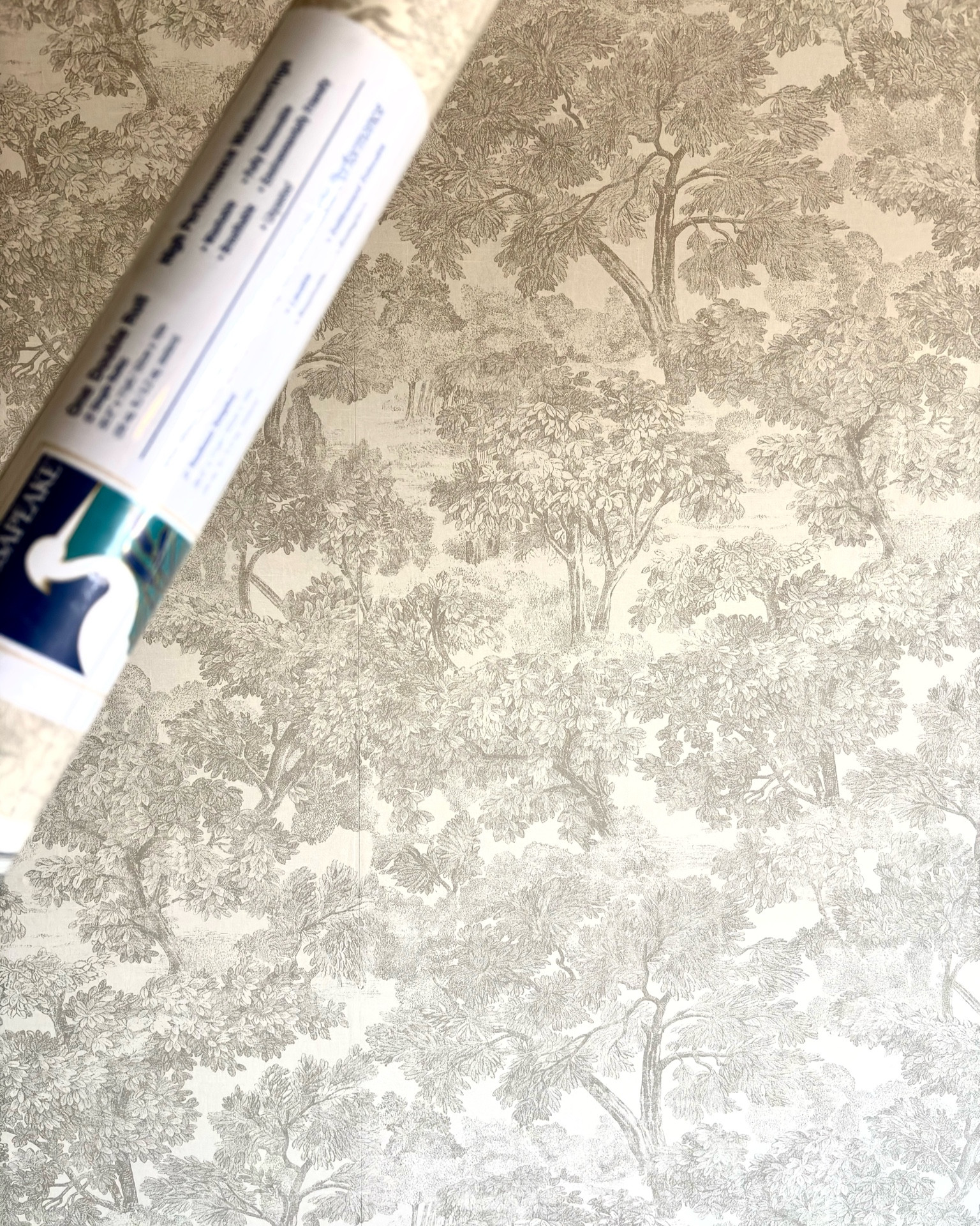 Guest room refresh underway, loving this beautiful and classic toile wallpaper. Matte finish which makes the seams virtually disappear. More updates to come! #guestbedroom #bedroomideas #wallpaper #toilewallpaper #emptynester 



#LTKHome #LTKFindsUnder100