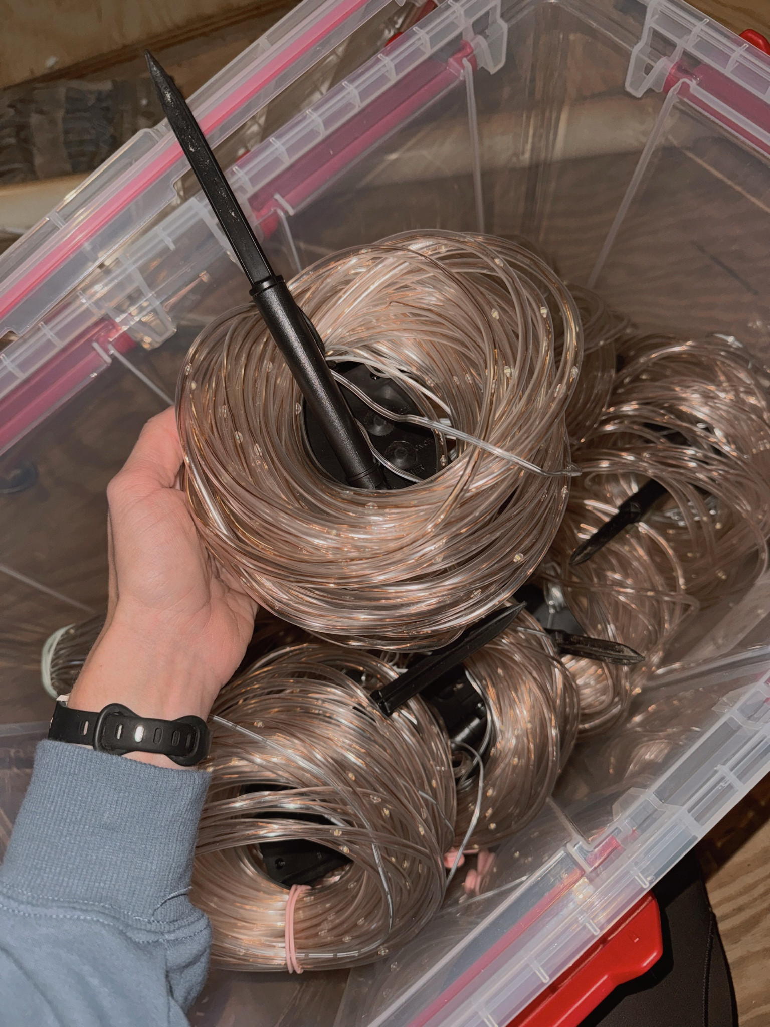 The Solar lights we used on our palm trees🌴✨💡 we did the 72 ft, warm white ones! They’re waterproof as well! They were great for the season but would be a great option for parties or a backyard! 

Seasonal decor / Christmas lights / Amazon finds / holiday / outdoor / Holley Gabrielle 

#LTKFindsUnder100 #LTKHome #LTKSeasonal