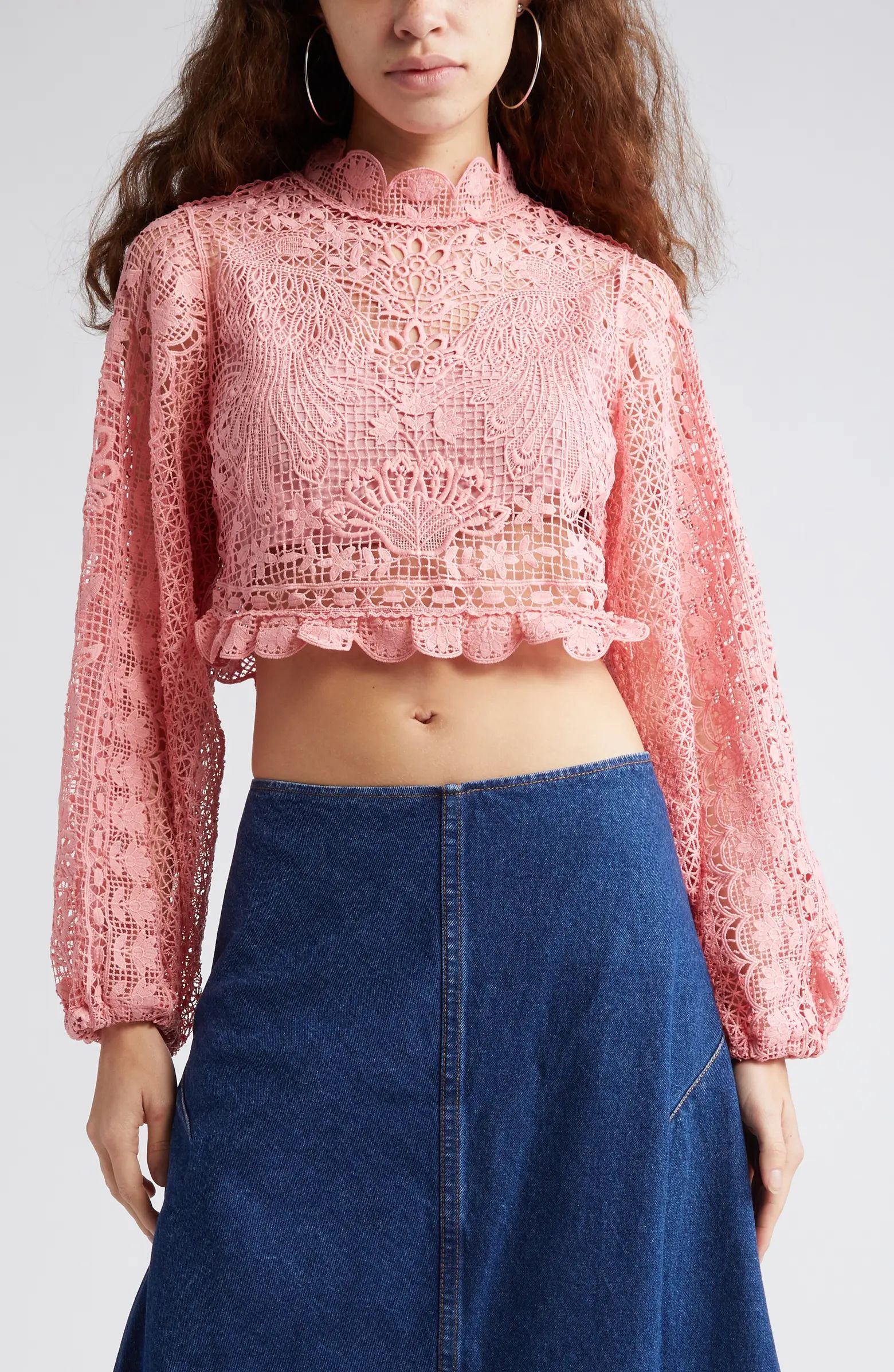 Guipure Lace Long Sleeve Crop Top | Nordstrom