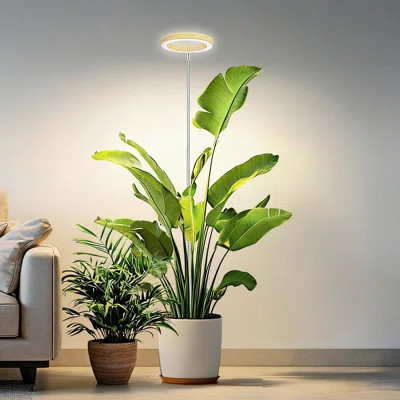 Grow Lights For Indoor Plants, Full Spectrum Plant Lights For Indoor Growing With 6/12/16H Timer, 3 Color Modes, 5 Brightness | Wayfair North America