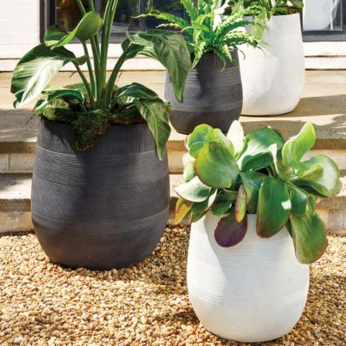 Monte Planter | Ballard Designs, Inc.