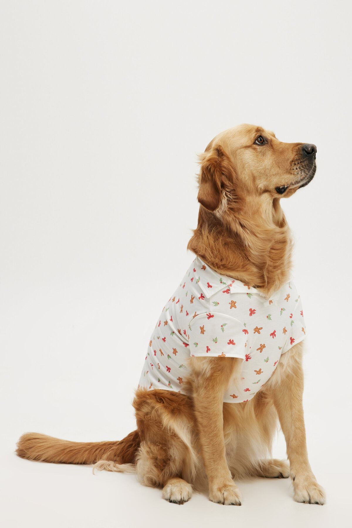 Novelty Dog Shirt | Cotton On (ANZ)