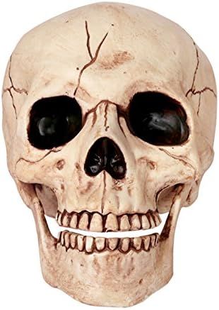 Crazy Bonez Skeleton Skull | Amazon (US)