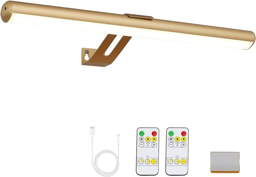 Picture Light Battery Operated, Picture Lights for Wall, Wireless Picture Light with 2 Remotes, 1... | Amazon (US)