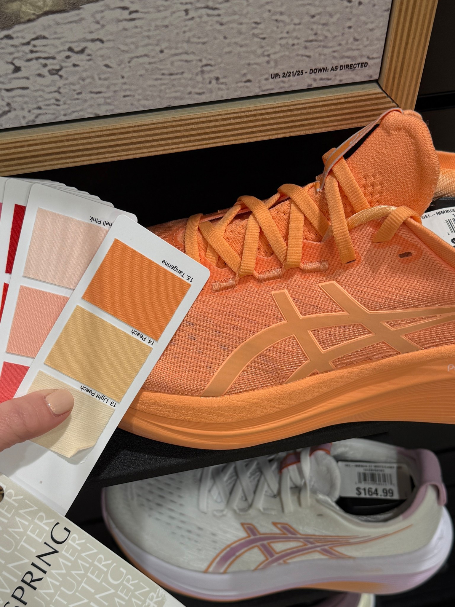 Tangerine Asics Gel Nimbus!

#createdcolorful #createdcolorfulspring #hocspring #tcispring #pcaspring #lightspring #warmspring #truespring #brightspring #clearspring #paintboxspring #bluespring #hoctangerine