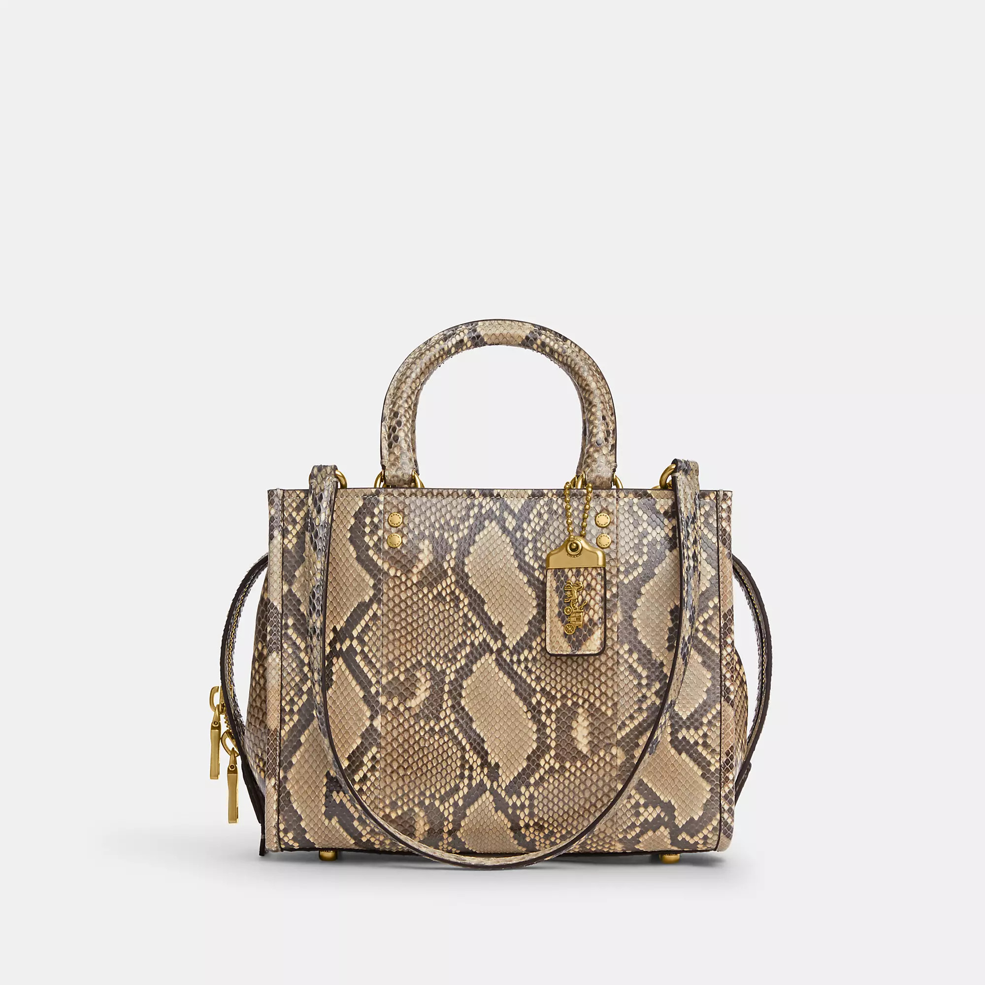 Rogue Bag 25 In Snakeskin | Coach (US)