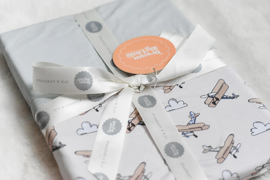 PLANE FUN DREAM BLANKET | Dream Big Little Co.