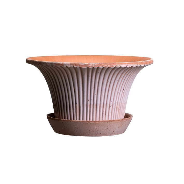 Bergs Daisy Indoor/Outdoor Tabletop Planters | West Elm (US)