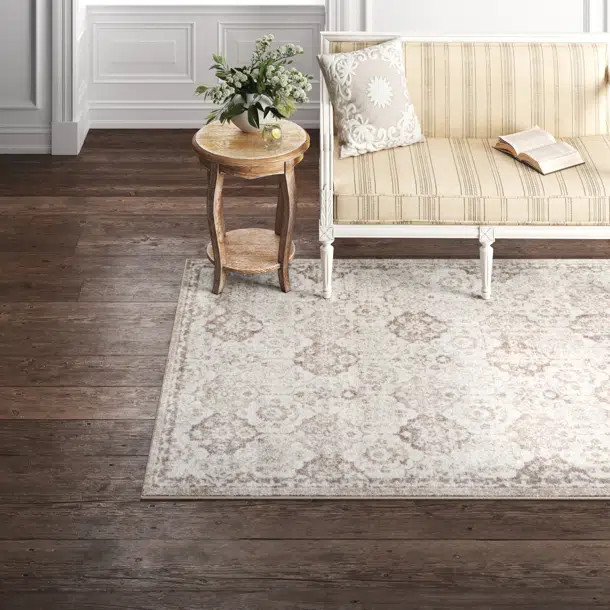 Aiden Oriental Rug | Wayfair North America