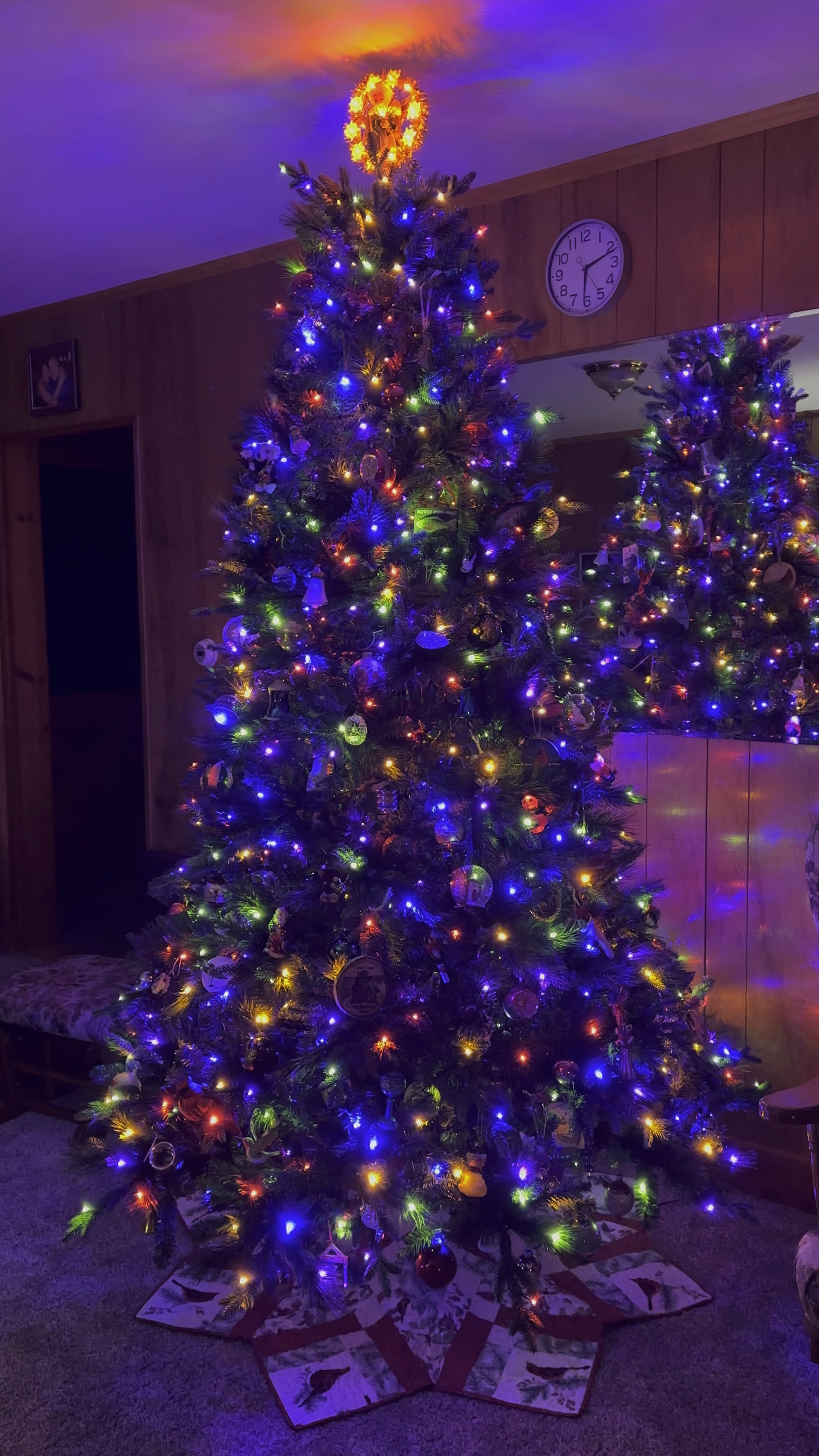 My grandmas classic Christmas tree ! Such a good price for this artificial tree ! Has more lights and branches than some of the very expensive ones I’ve seen ! 

#LTKWatchNow 

#LTKSeasonal #LTKHoliday