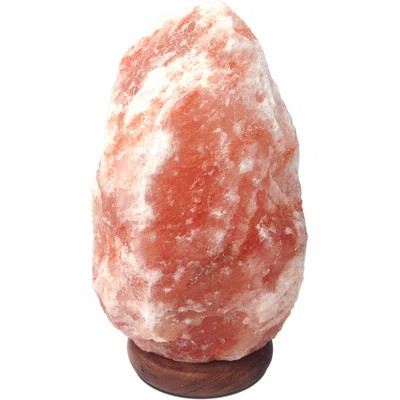 Himalayan Salt Lamp 30–40 lbs – Large Natural Shape Pink Himalayan Salt Crystal Lamp with On/Off Cord, Amber Glow Decorative Light for Bedroom, Living | Wayfair North America