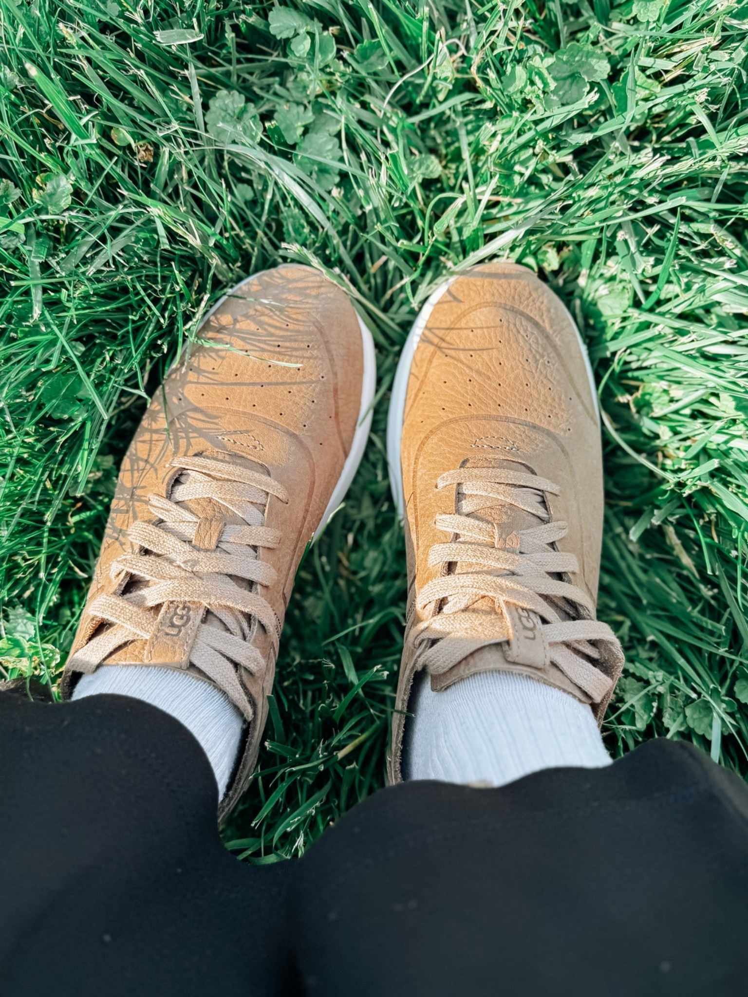 Forgot how much I like these UGG sneakers! This color goes with everything 👌

#LTKootd #LTKActive #LTKTravel