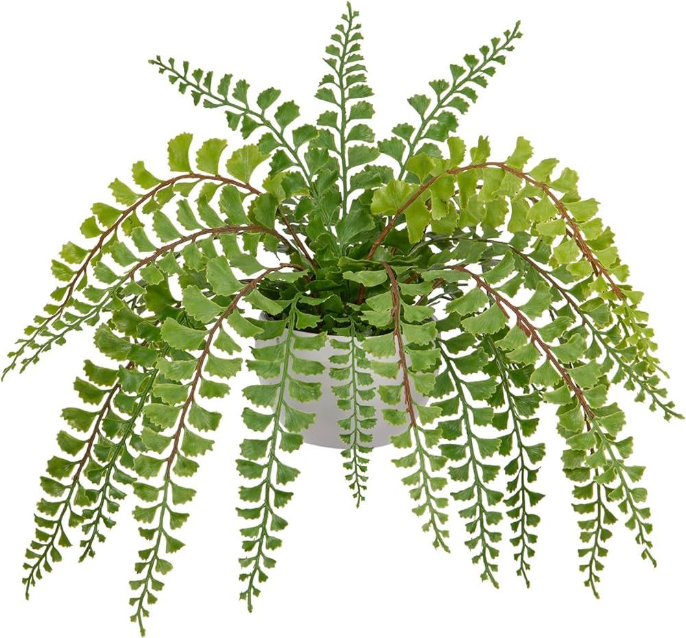 Hollyone Artificial Fern Potted Plant for Outdoors Indoors Lifelike Faux Boston Fern Artificial P... | Amazon (US)