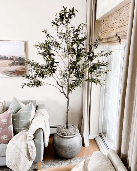 Olive tree, planter, potted olive tree, studio McGee planter, 6ft olive tree, amazon find, target find, wall art, throw pillow, throw pillow blanket, accent chairs 

#LTKsalealert #LTKFind #LTKhome