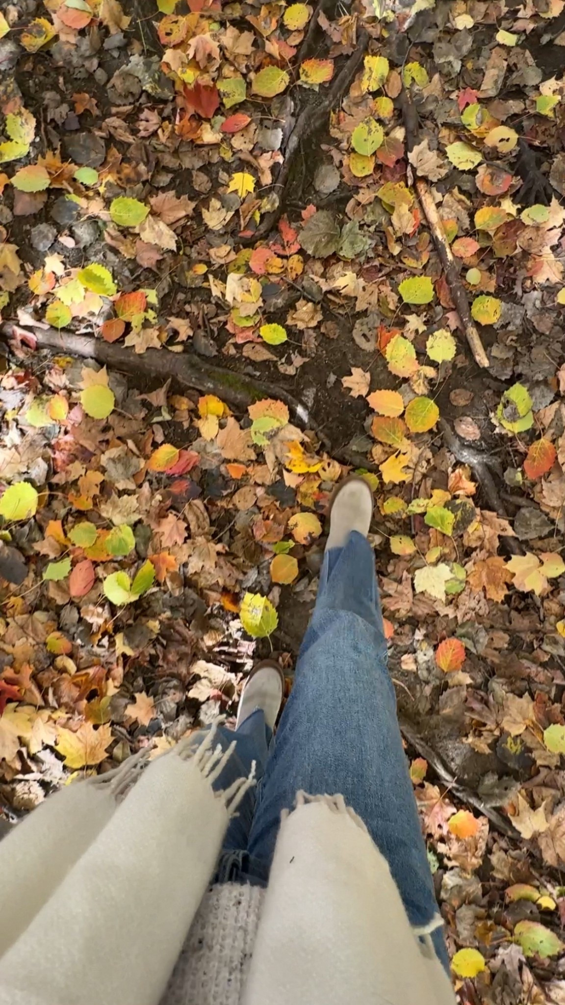 Fall outfit inspo, winter outfits, capsule wardrobe, cozy weather look, 2025 trends 

#LTKdayinmylife #LTKgrwm #LTKootd