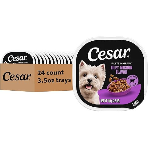 Cesar Filets in Gravy Wet Dog Food, Porterhouse Steak Flavor, 1.76 oz. Mini-Pouch, 20 Count: Pet ... | Amazon (US)