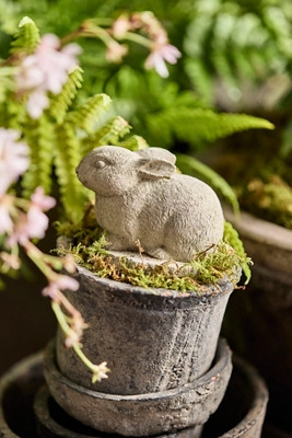 Concrete Bunny | Terrain