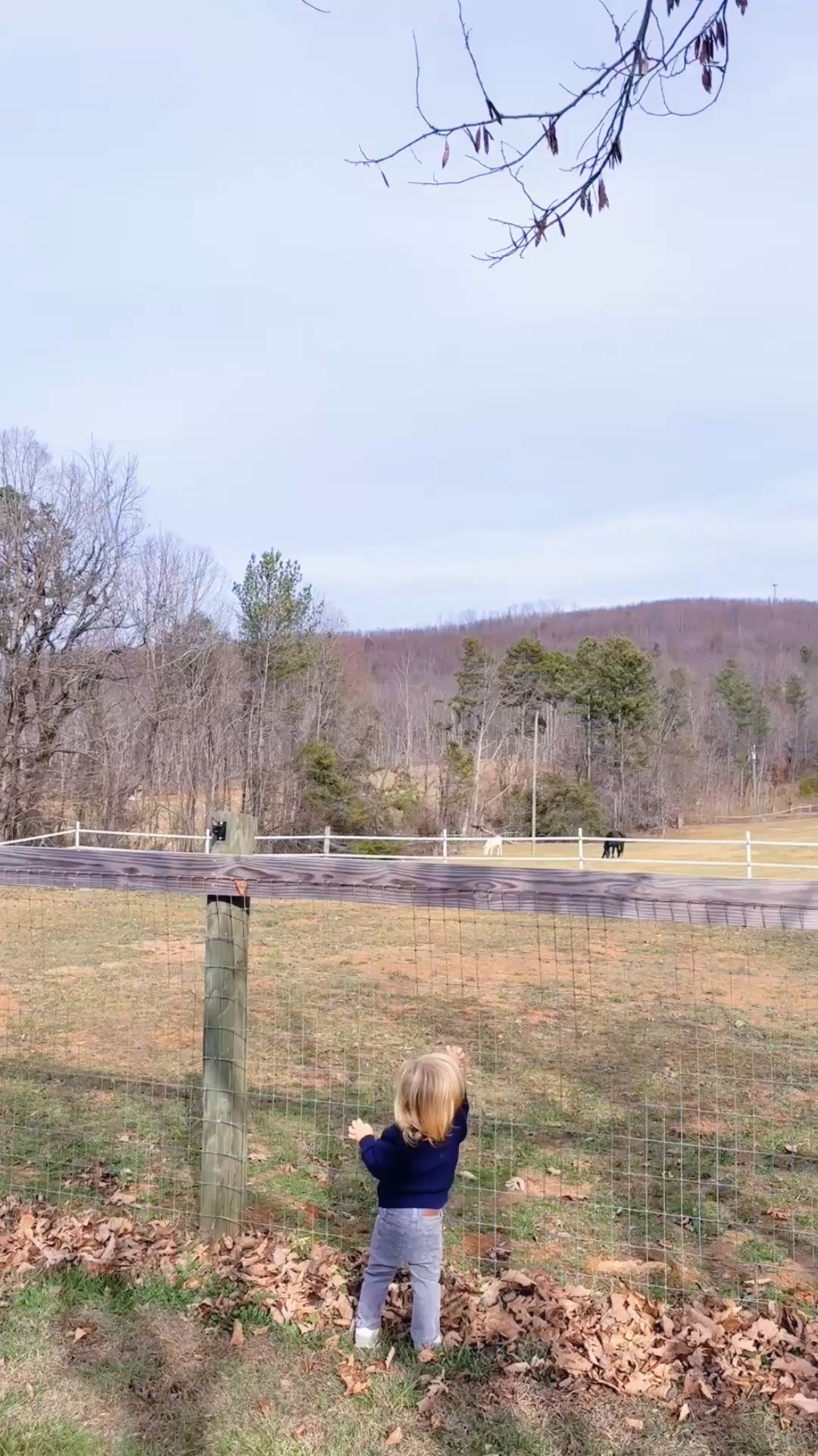 I truly just can’t believe that my babies get to grow up with this as their backyard - only Jesus!!! ✨