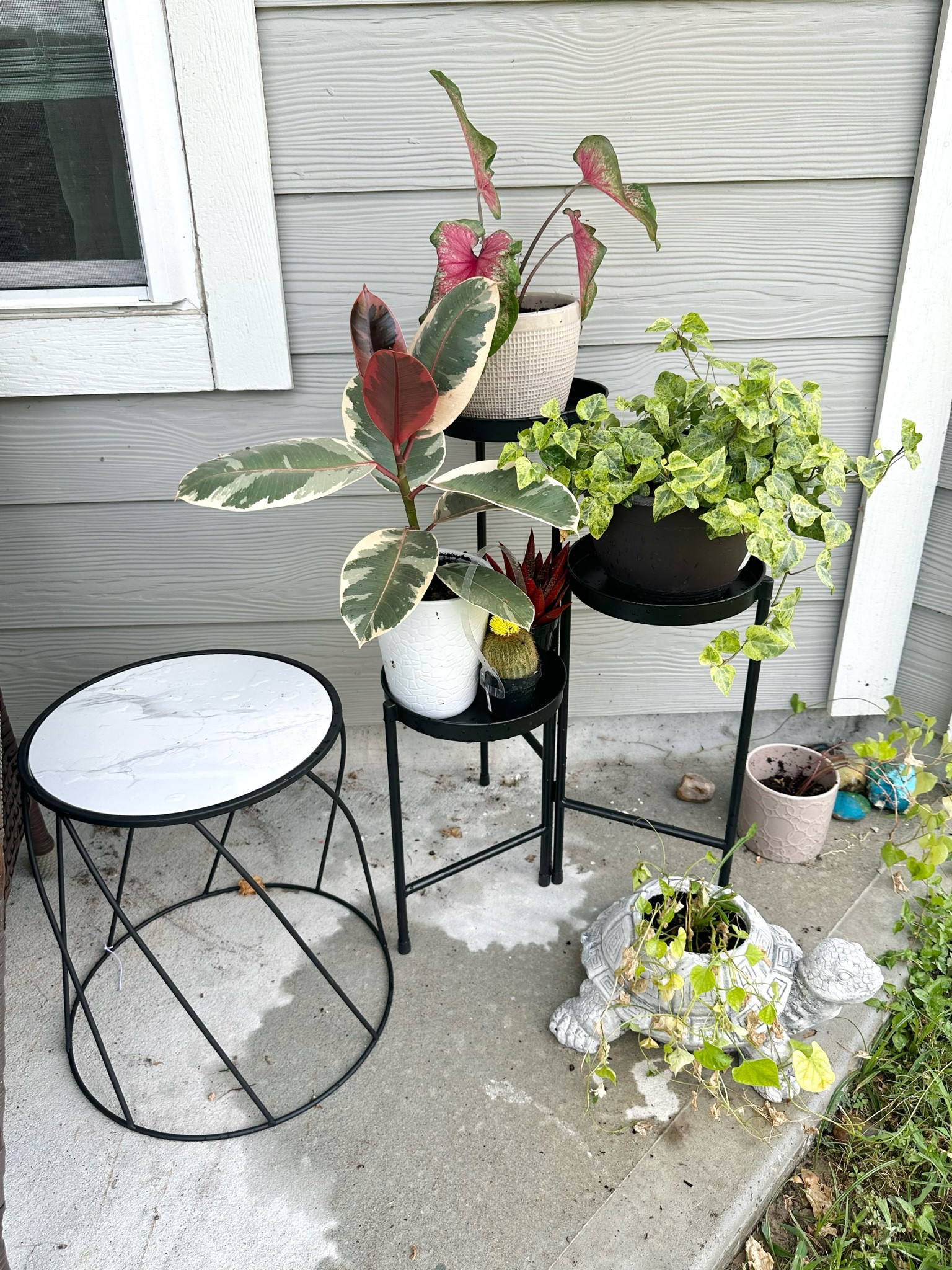 Walmart plant stands 

#LTKFindsUnder50 #LTKxWalmart #LTKHome