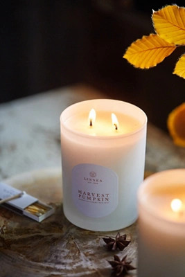 Linnea Candle, Harvest Pumpkin at Terrain | Terrain