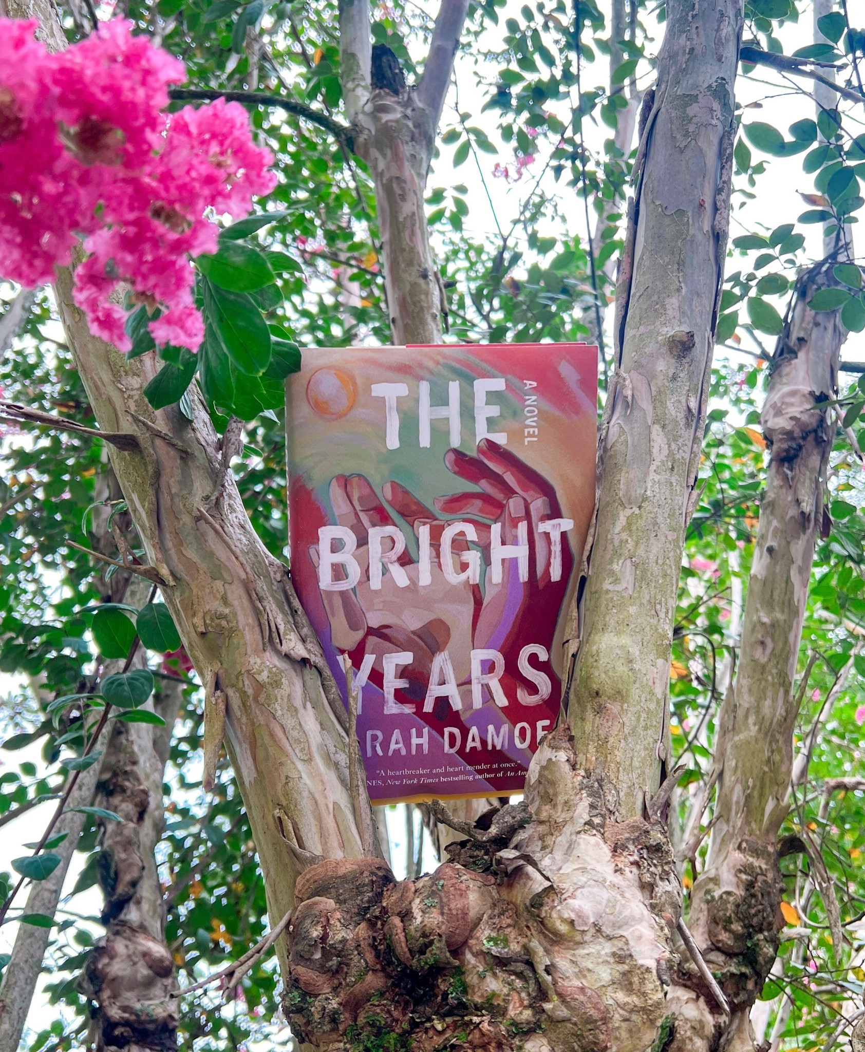 Ryan and Lillian Bright are deeply in love, recently married, and now parents to a baby girl, Georgette. But Lillian has a son she hasn’t told Ryan about, and Ryan has an alcohol addiction he hasn’t told Lillian about, so Georgette comes of age watching their marriage rise and fall.

When a shocking blow scatters their fragile trio, Georgette tries to distance herself from reminders of her parents. Years later, Lillian’s son comes searching for his birth family, so Georgette must return to her roots, unearth her family’s history, and decide whether she can open up to love for them—or herself—while there’s still time.

Told from three intimate points of view, The Bright Years is a tender, true-to-life, debut that explores the impact of each generation in a family torn apart by tragedy but, over time, restored by the power of grace and love. 

#LTKItBag #LTKFindsUnder50 #LTKTravel