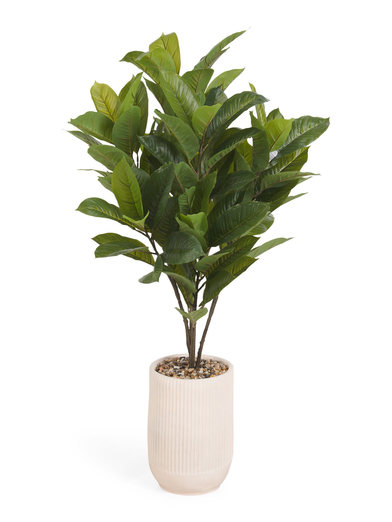 44in Outdoor Safe Magnolia Tree In Pot | Marshalls