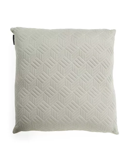 Tj maxx outlet euro pillows