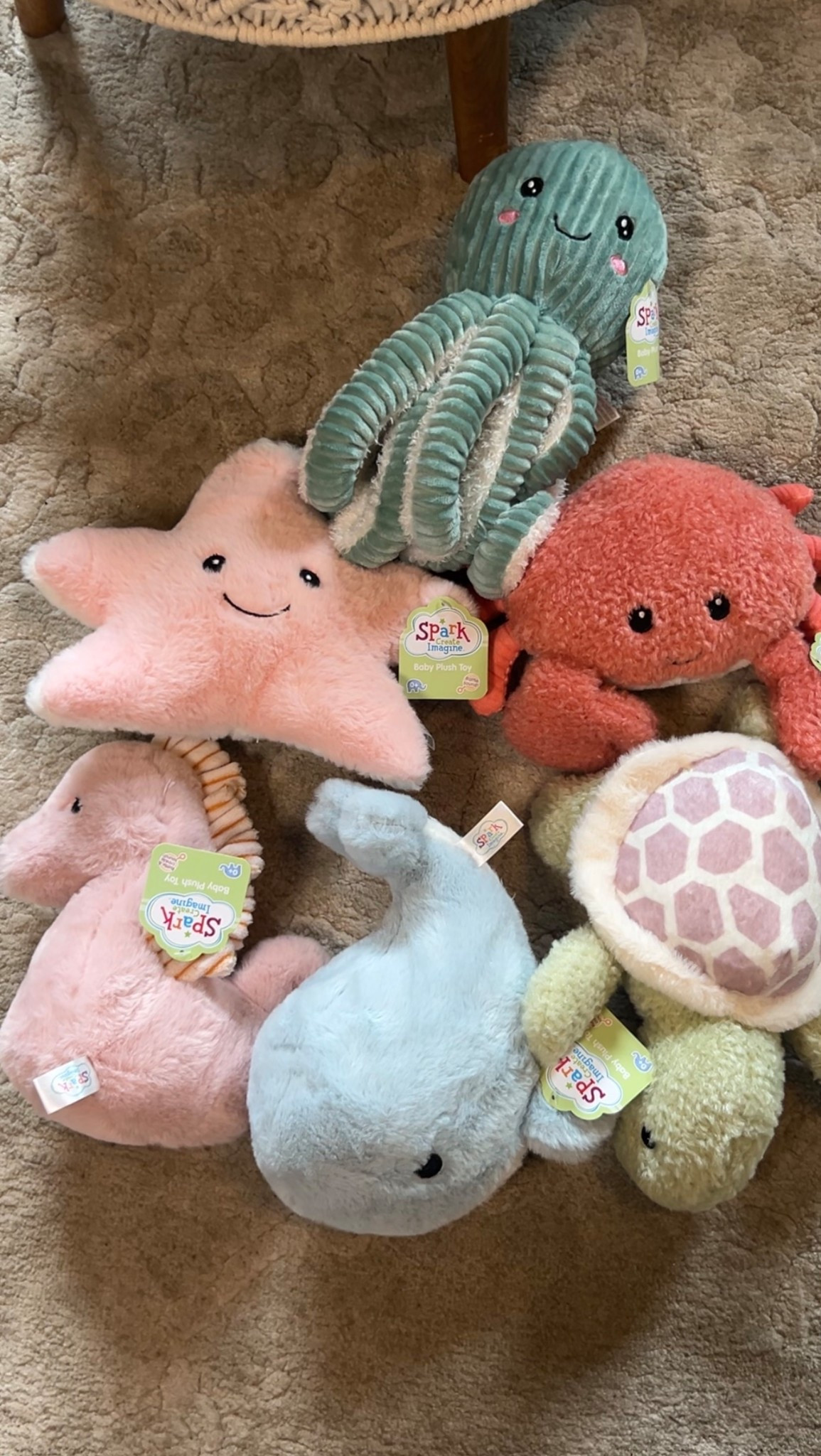 $8 Walmart jelly cat dupe

#LTKkids #LTKBaby #LTKFamily #walmartfinds #walmartbaby #toddlerfinds

#LTKKids #LTKBaby #LTKFamily