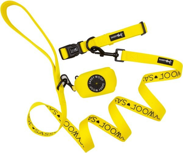 Sassy Woof Dog Waste Bag Holder, Collar, & Leash, 3 count | Chewy.com
