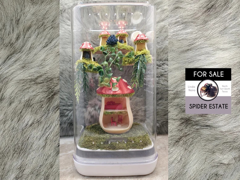 Jumping Spider Enclosure Mushroom Village - Etsy | Etsy (US)
