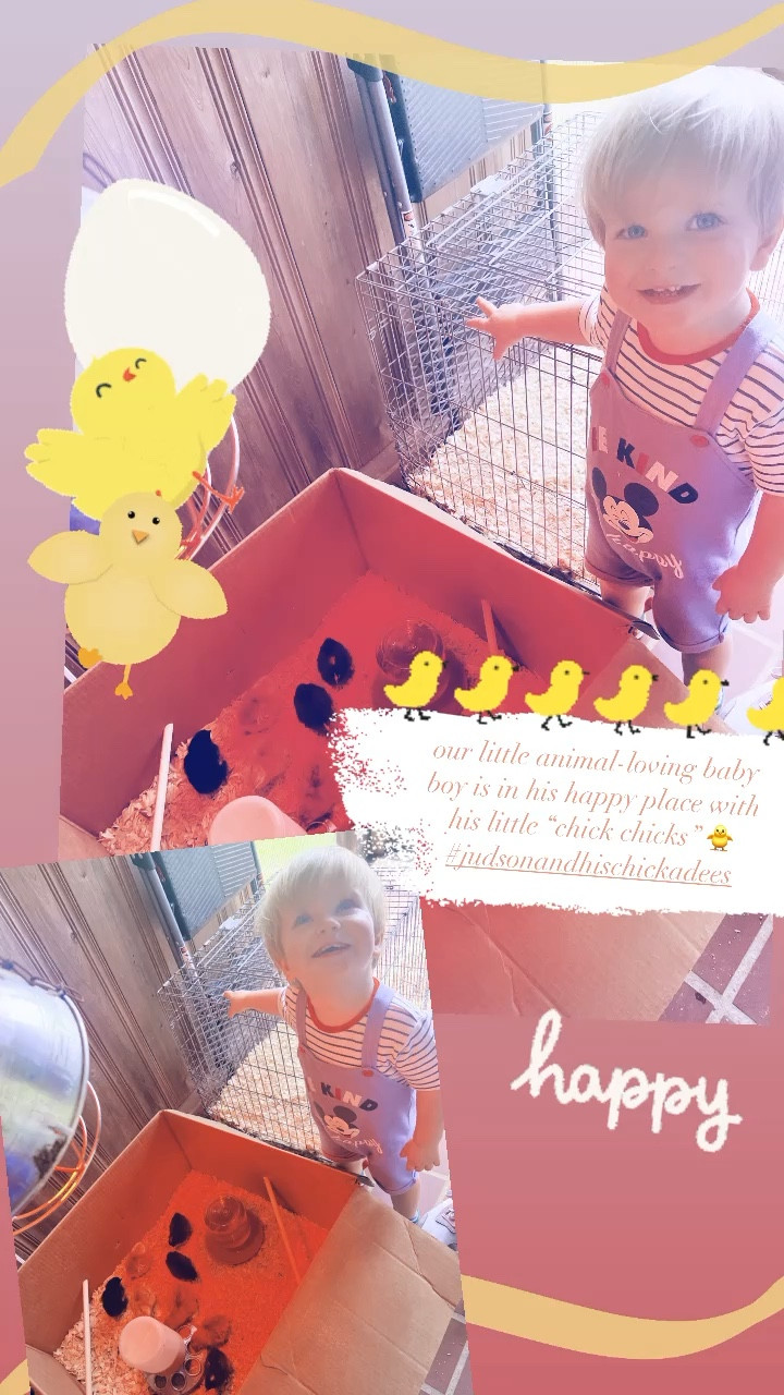 our little animal-loving baby boy is in his happy place with his little “chick chicks” 🐥 #judsonandhischickadees 

#LTKbaby #LTKSeasonal #LTKfamily