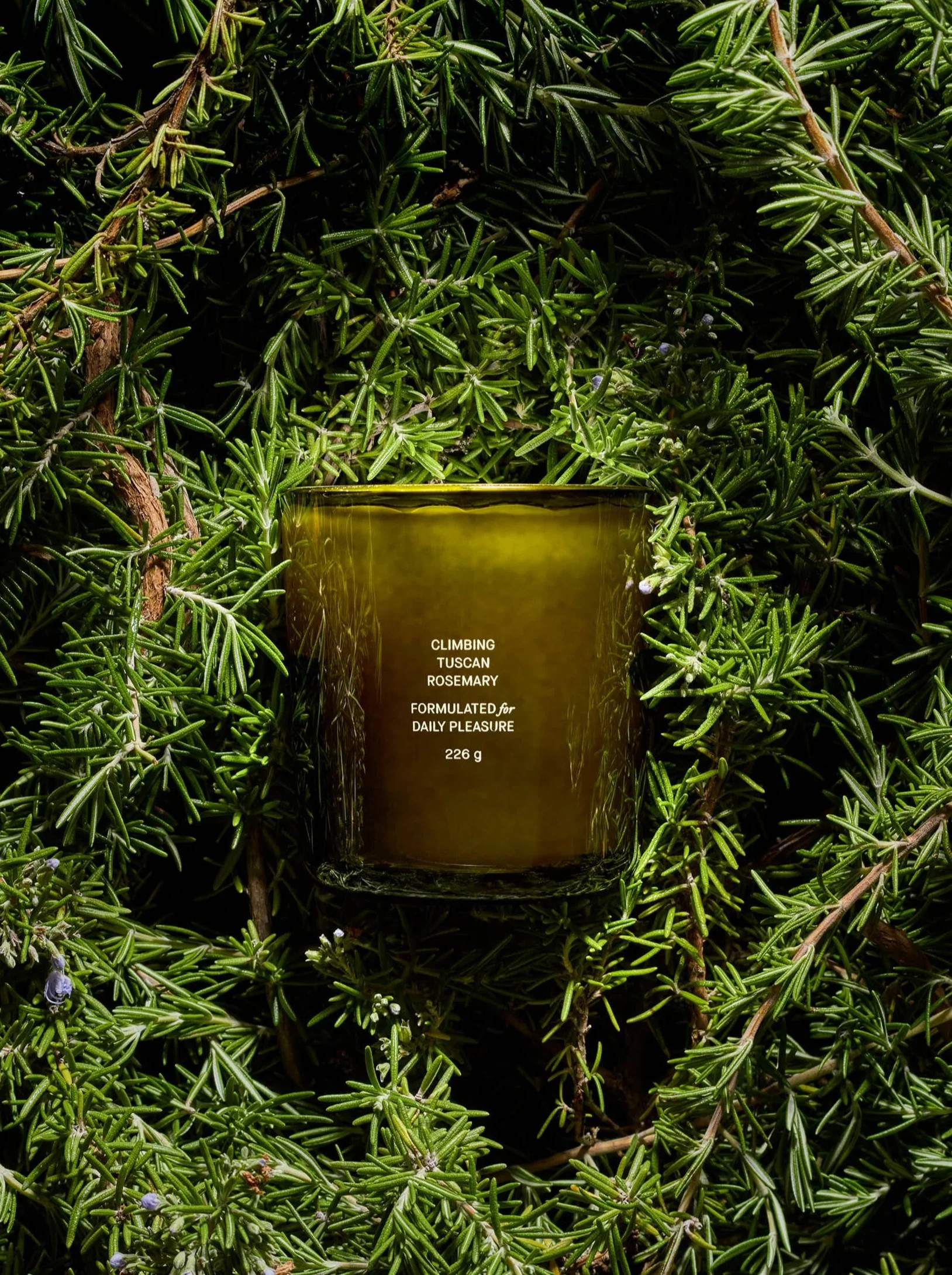 Climbing Tuscan Rosemary Candle | Flamingo Estate