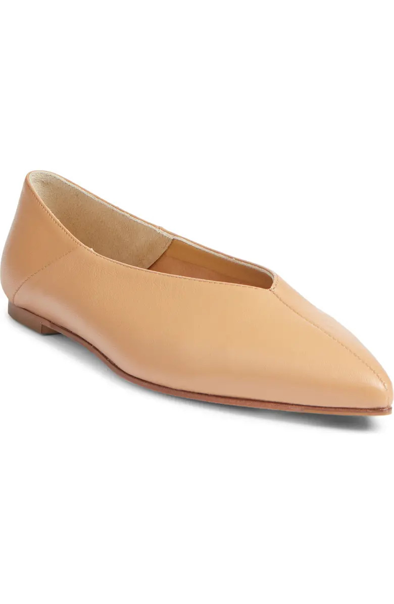 aeyde Moa Pointed Toe Flat (Women) | Nordstrom | Nordstrom
