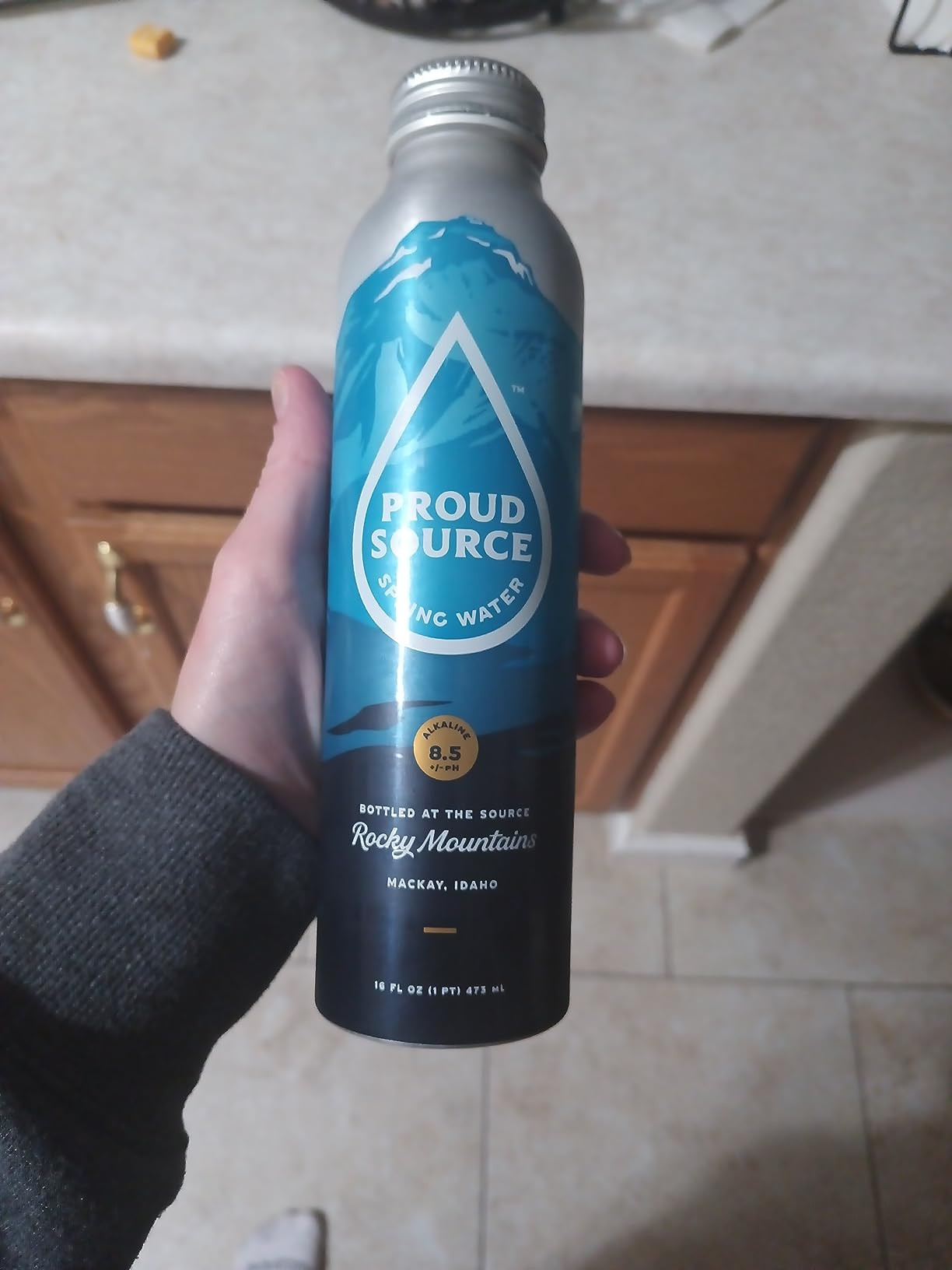 Proud Source Naturally Alkaline Spring Water, 16oz Bottles (6 pack) | Amazon (US)