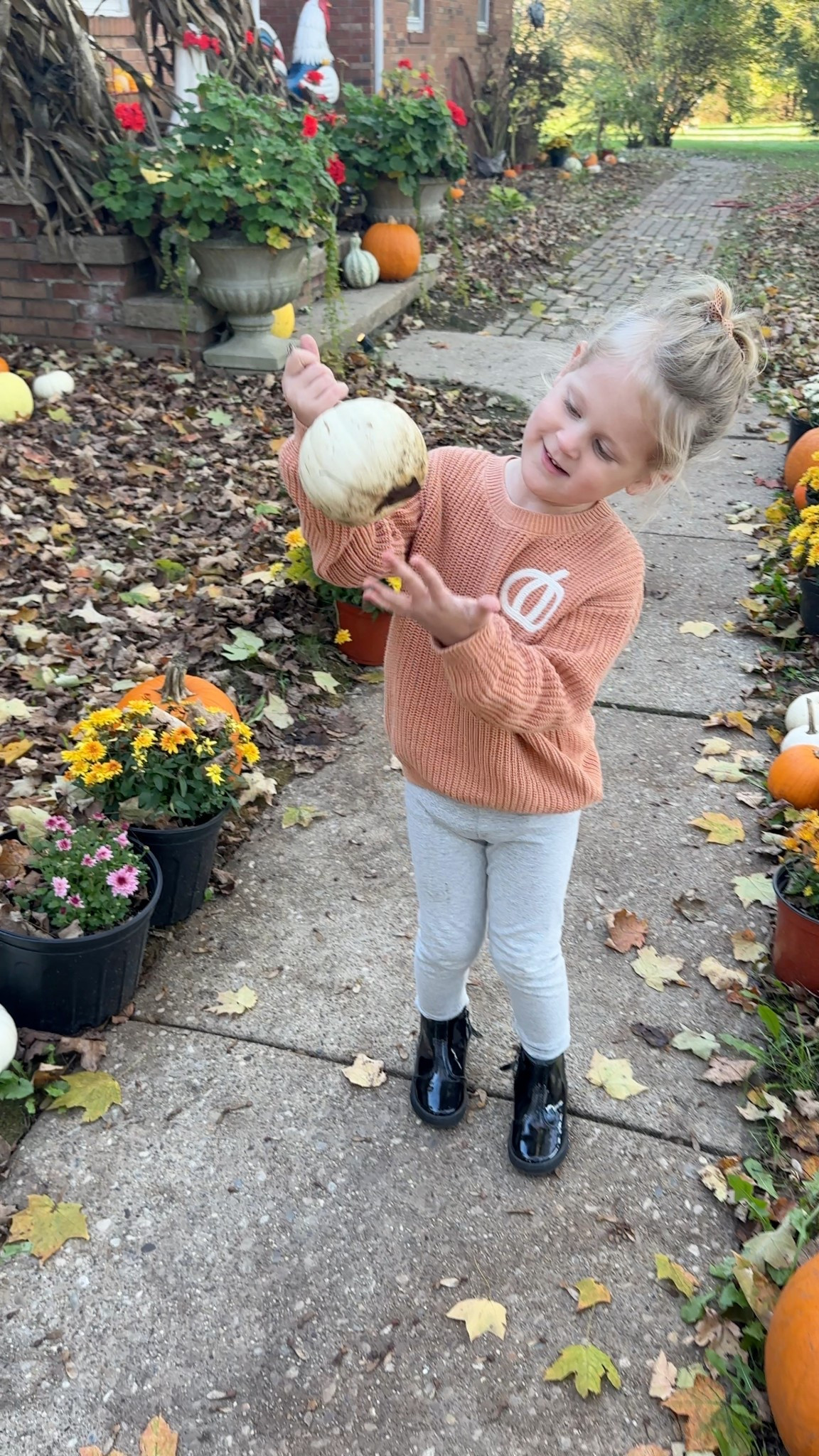 The cutest pumpkin sweater! 🍂

#LTKSeasonal #LTKKids #LTKHalloween