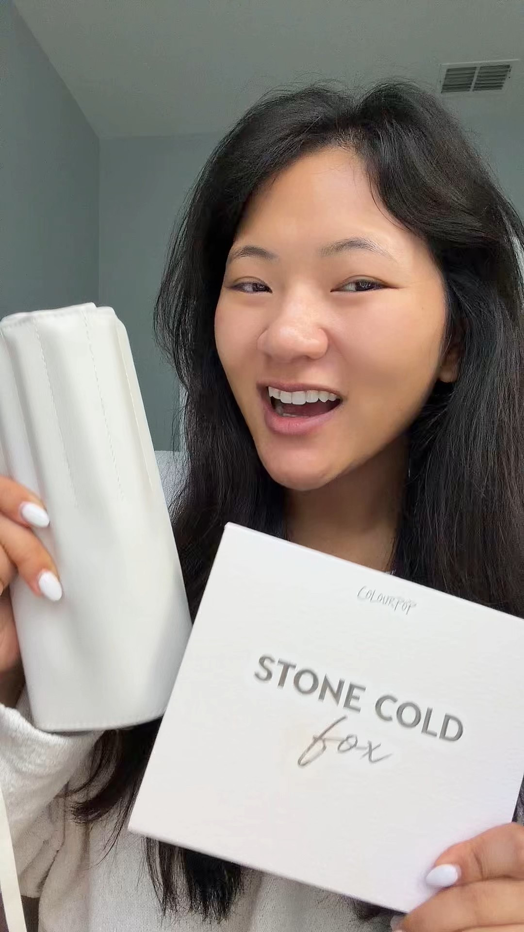 Colourpop Stone Cold Fox palette and brush set